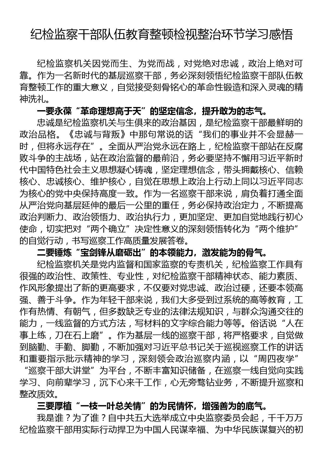 纪检监察干部队伍教育整顿检视整治环节学习感悟_第1页