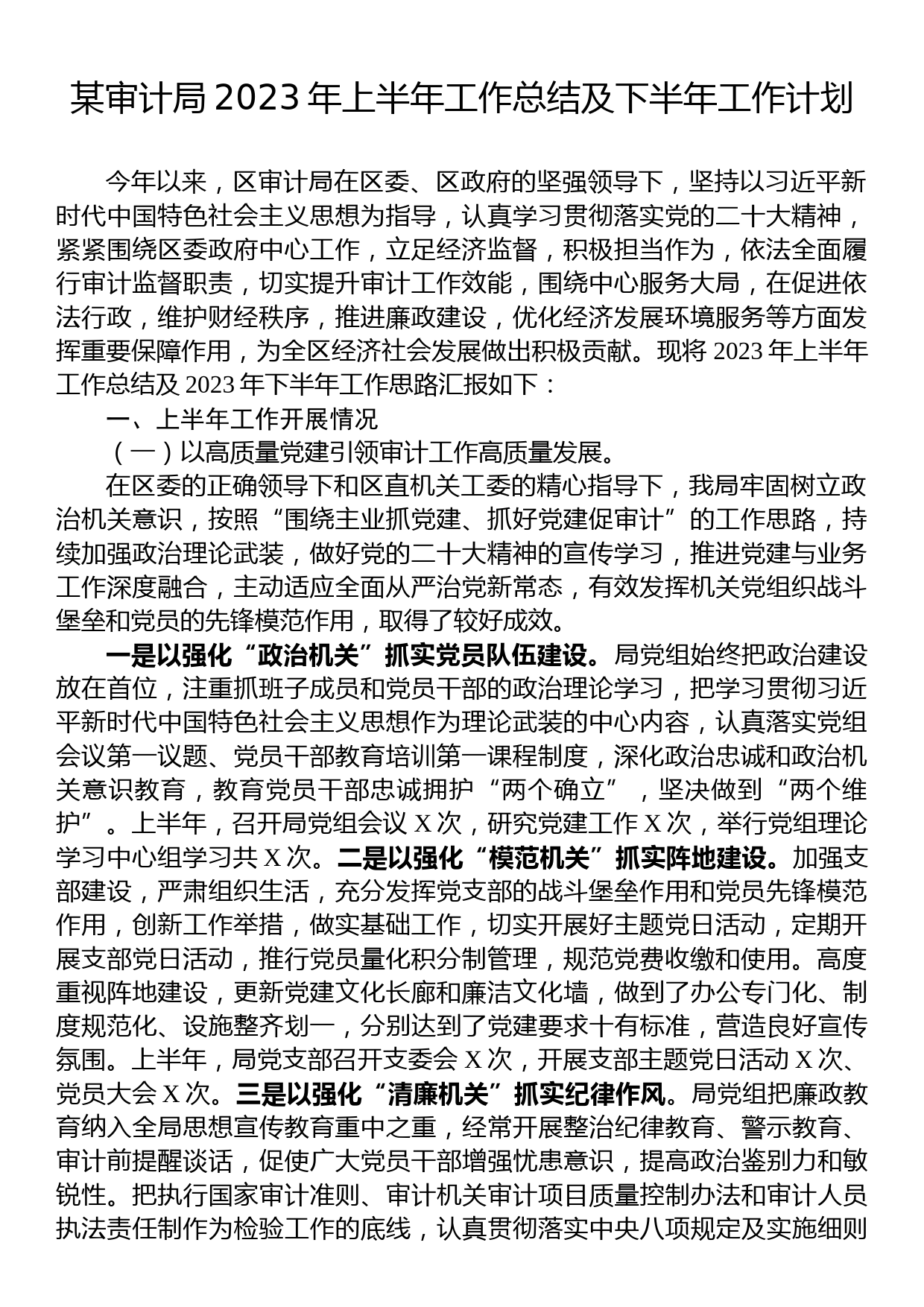 某审计局2023年上半年工作总结及下半年工作计划_第1页