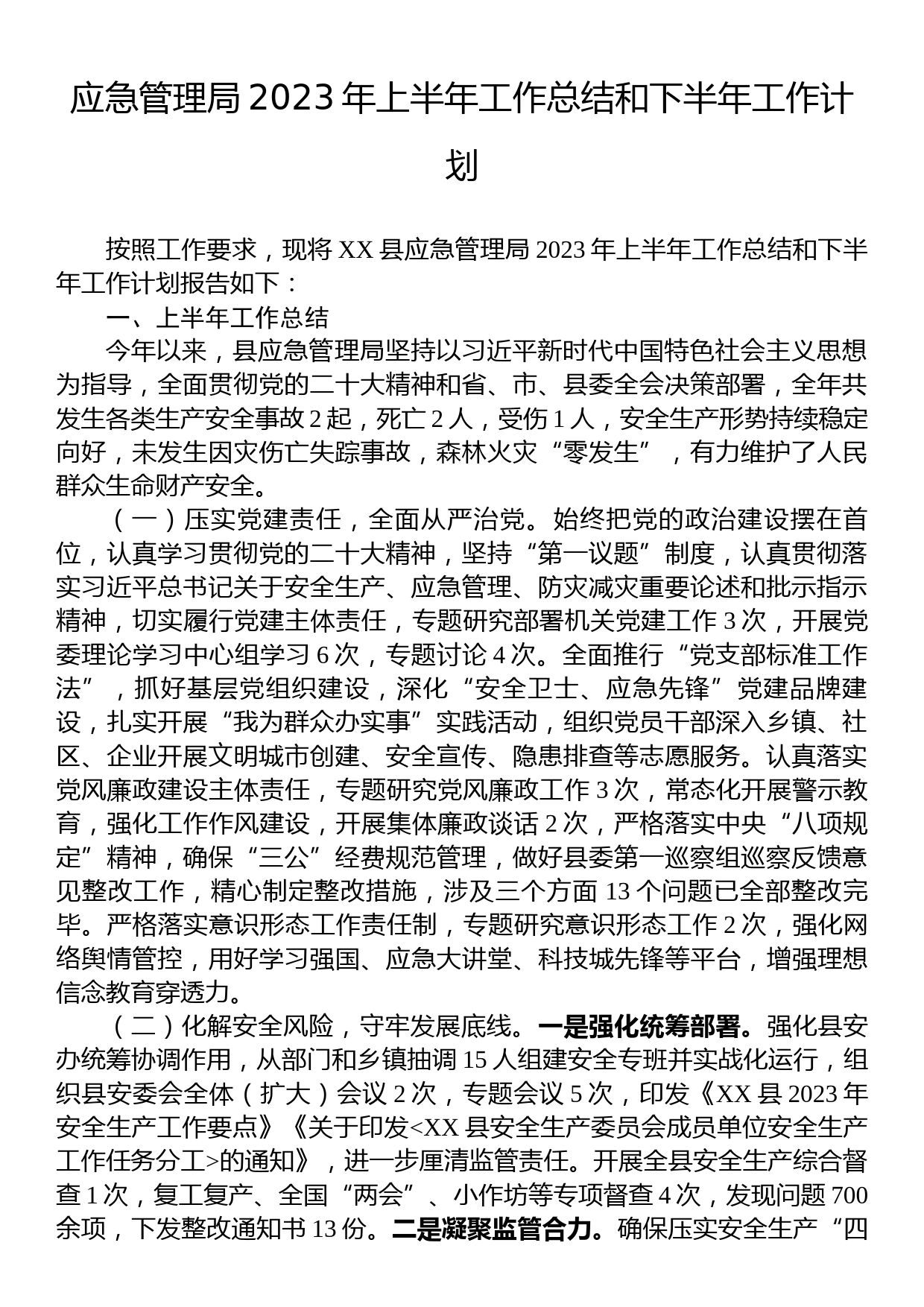 应急管理局2023年上半年工作总结和下半年工作计划_第1页