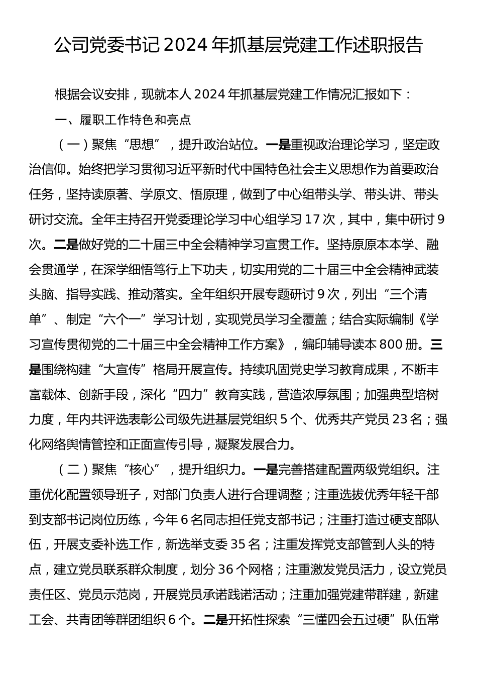 公司党委书记2024年抓基层党建工作述职报告.docx_第1页