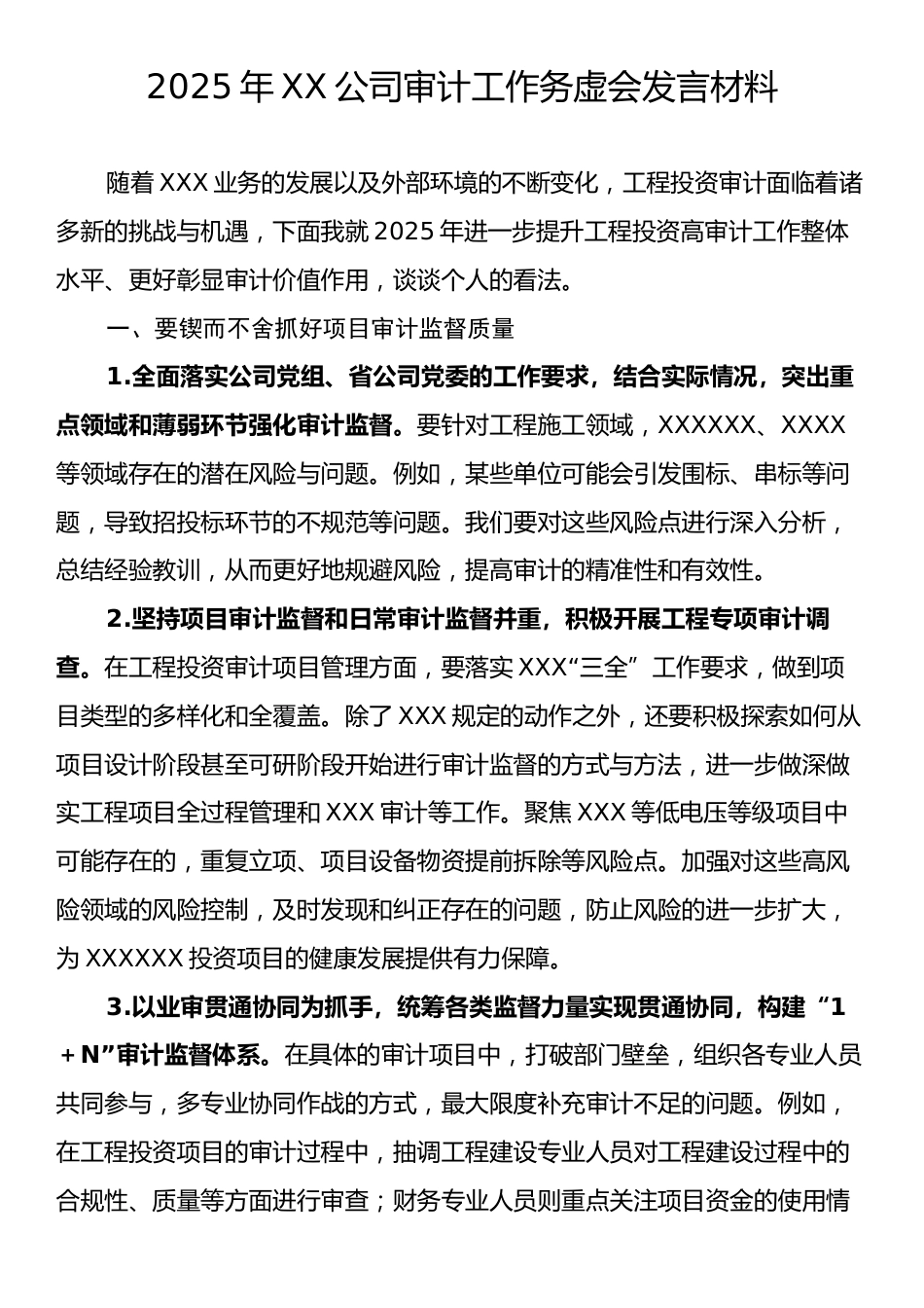 2025年XX公司审计工作务虚会发言材料.docx_第1页