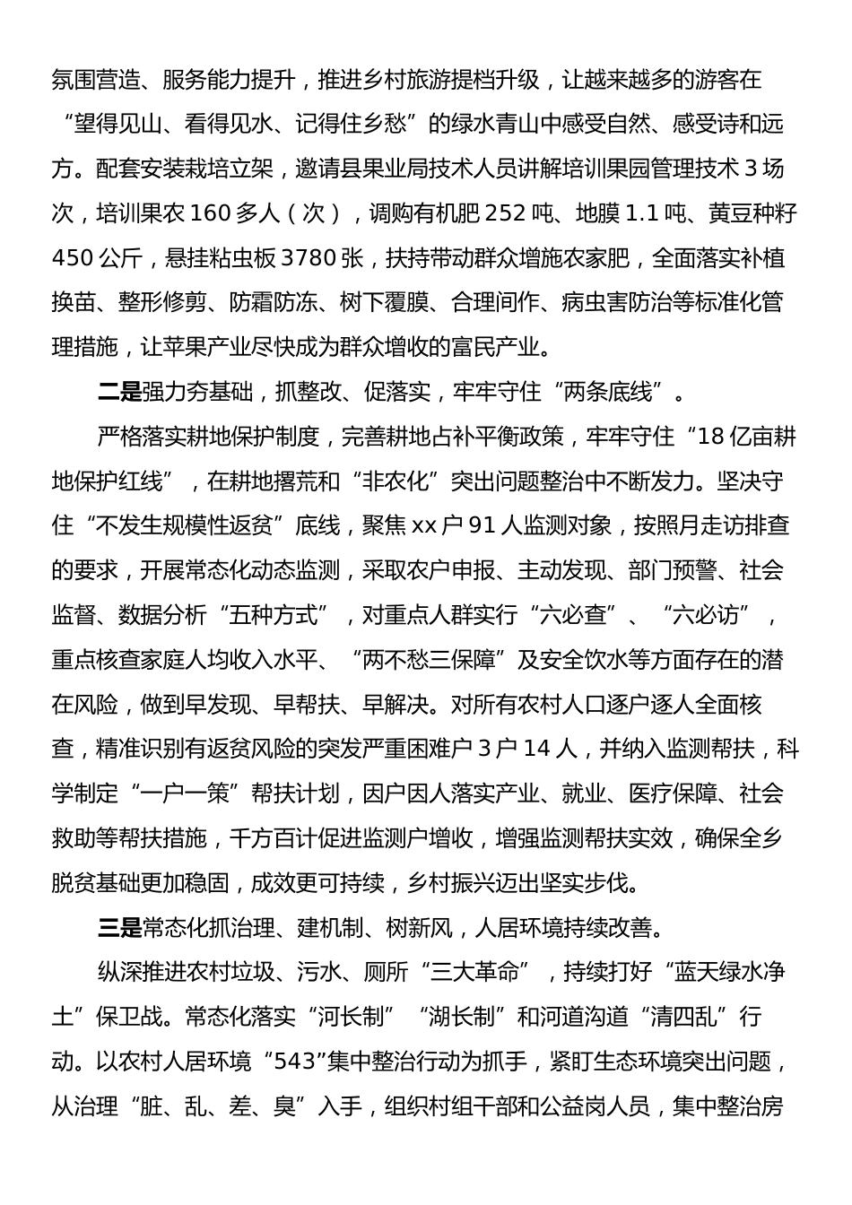 2024年XX政府工作总结.docx_第2页