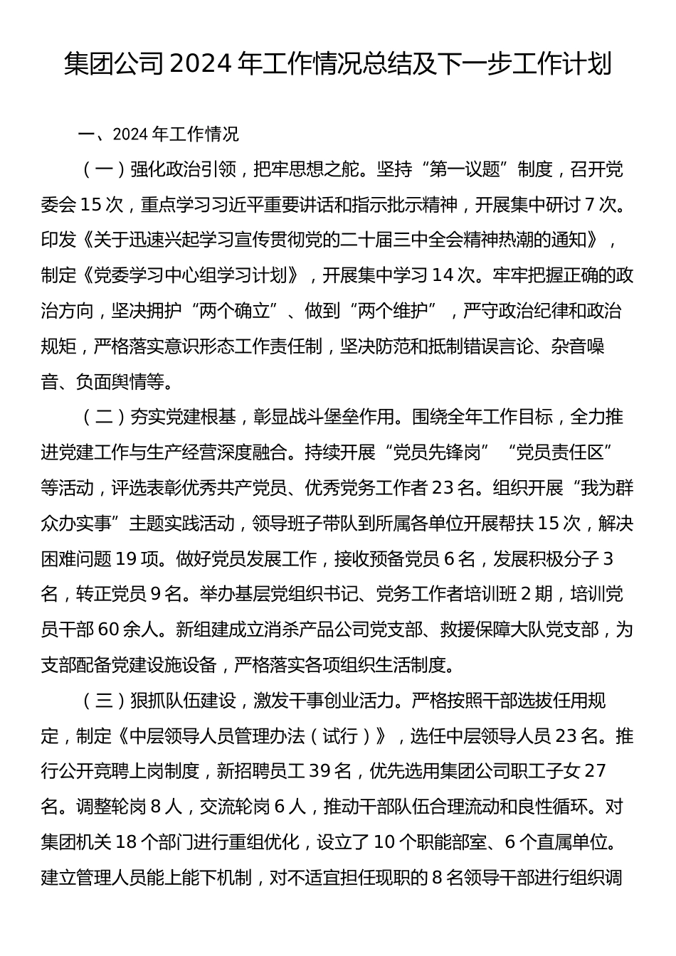 集团公司2024年工作情况总结及下一步工作计划.docx_第1页