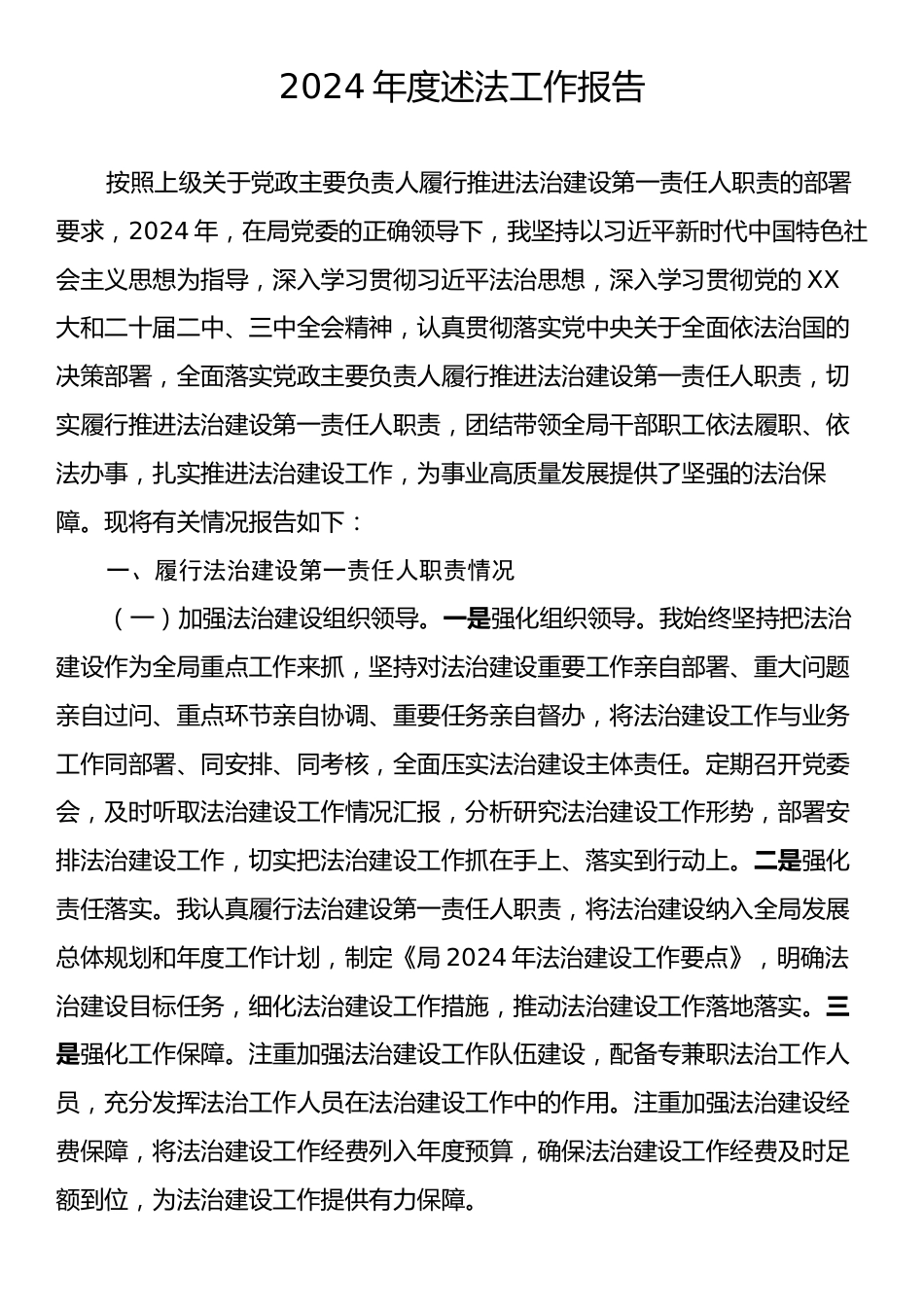 2024年度述法工作报告.docx_第1页