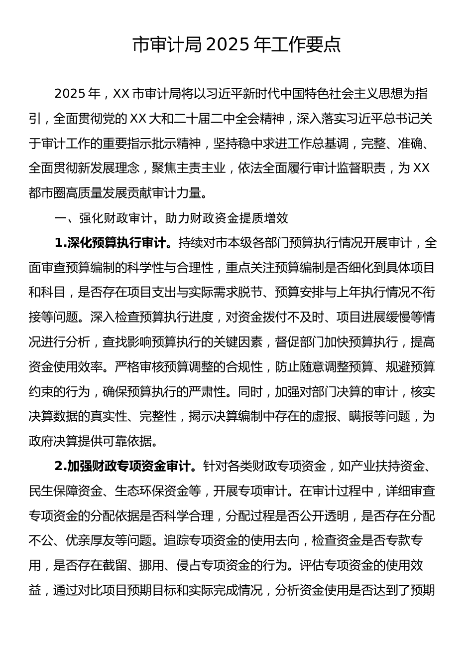 市审计局2025年工作要点.docx_第1页