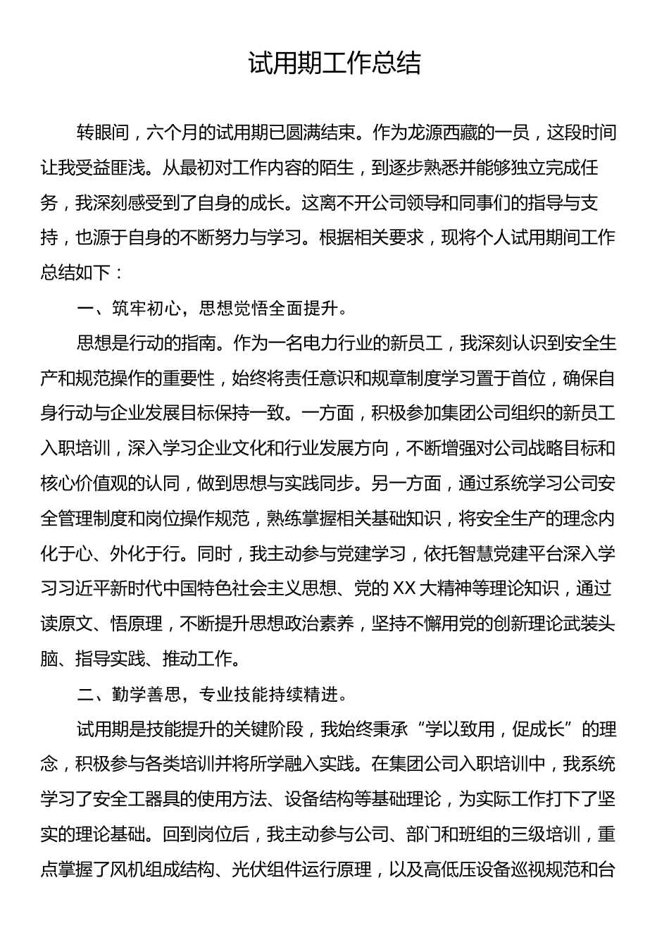 试用期工作总结.docx_第1页