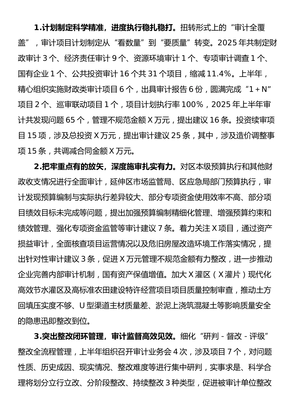 X区审计局2025年上半年工作总结和下半年工作安排.docx_第2页