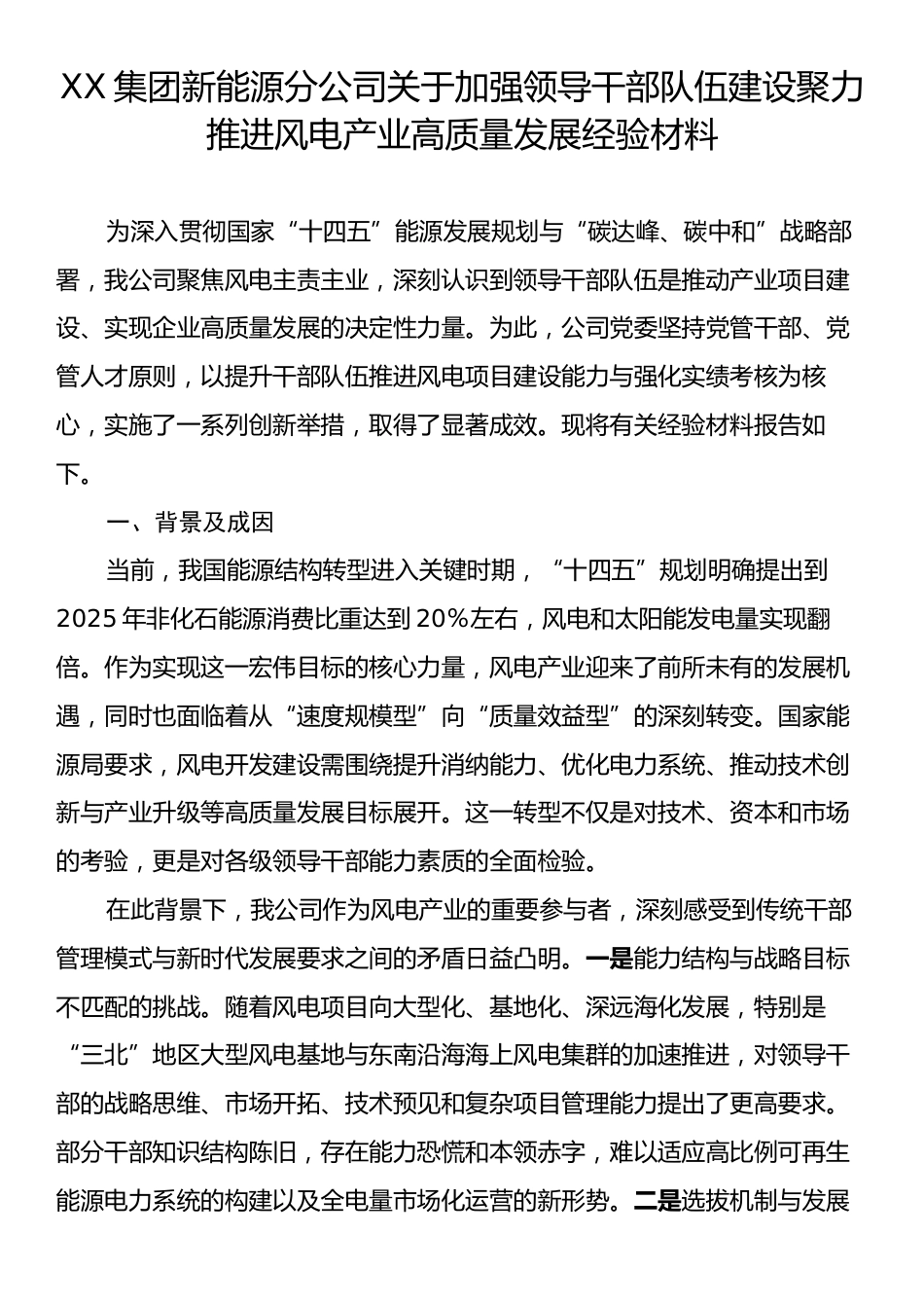 XX集团新能源分公司关于加强领导干部队伍建设聚力推进风电产业高质量发展经验材料.docx_第1页
