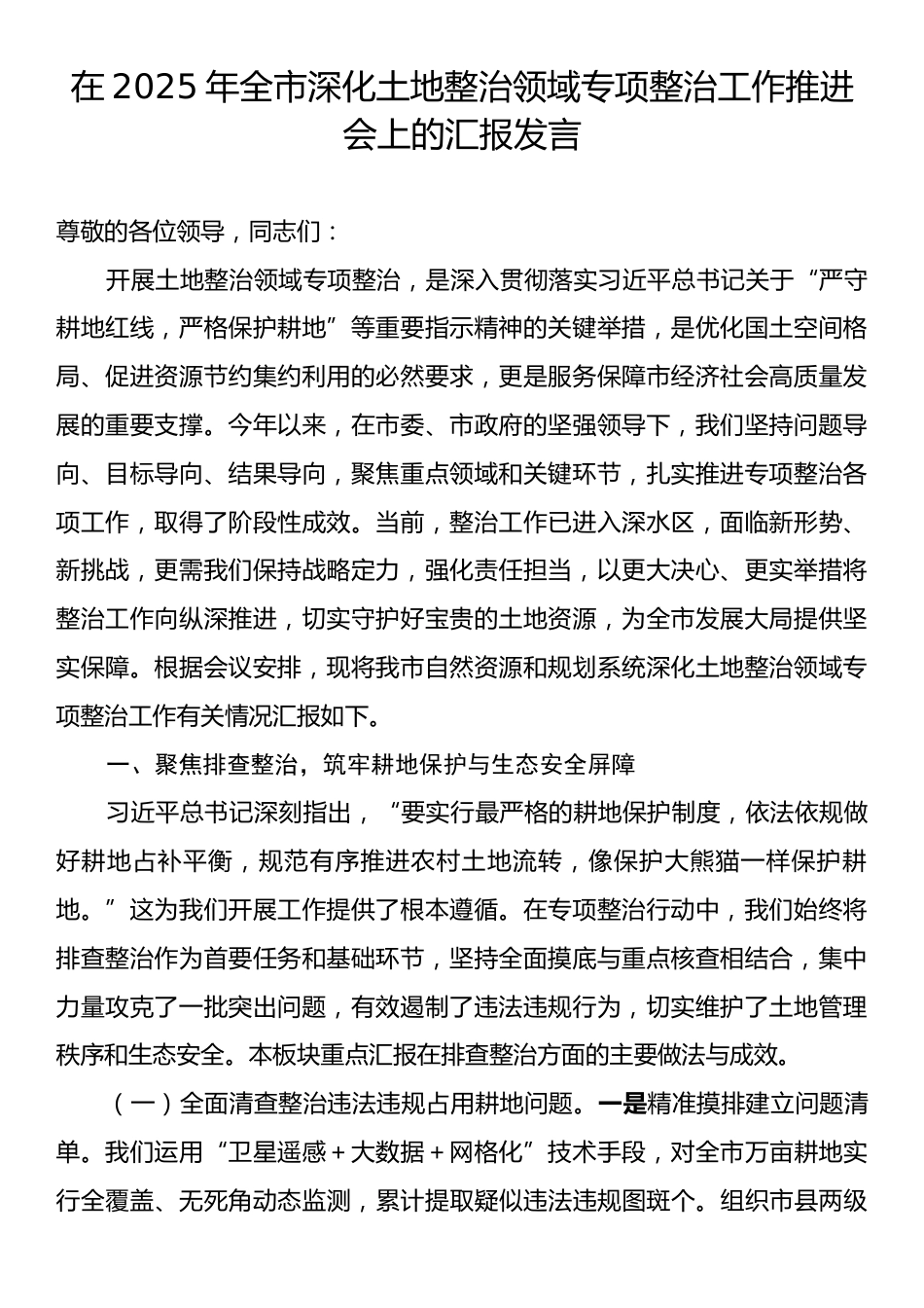 在2025年全市深化土地整治领域专项整治工作推进会上的汇报发言.docx_第1页
