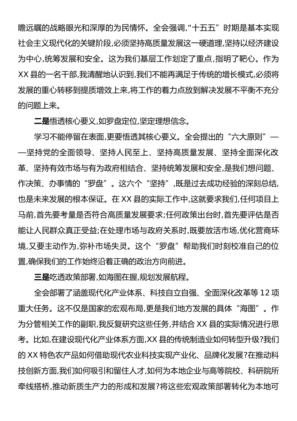 政府副县长学习党的二十届四中全会精神心得.docx_第2页