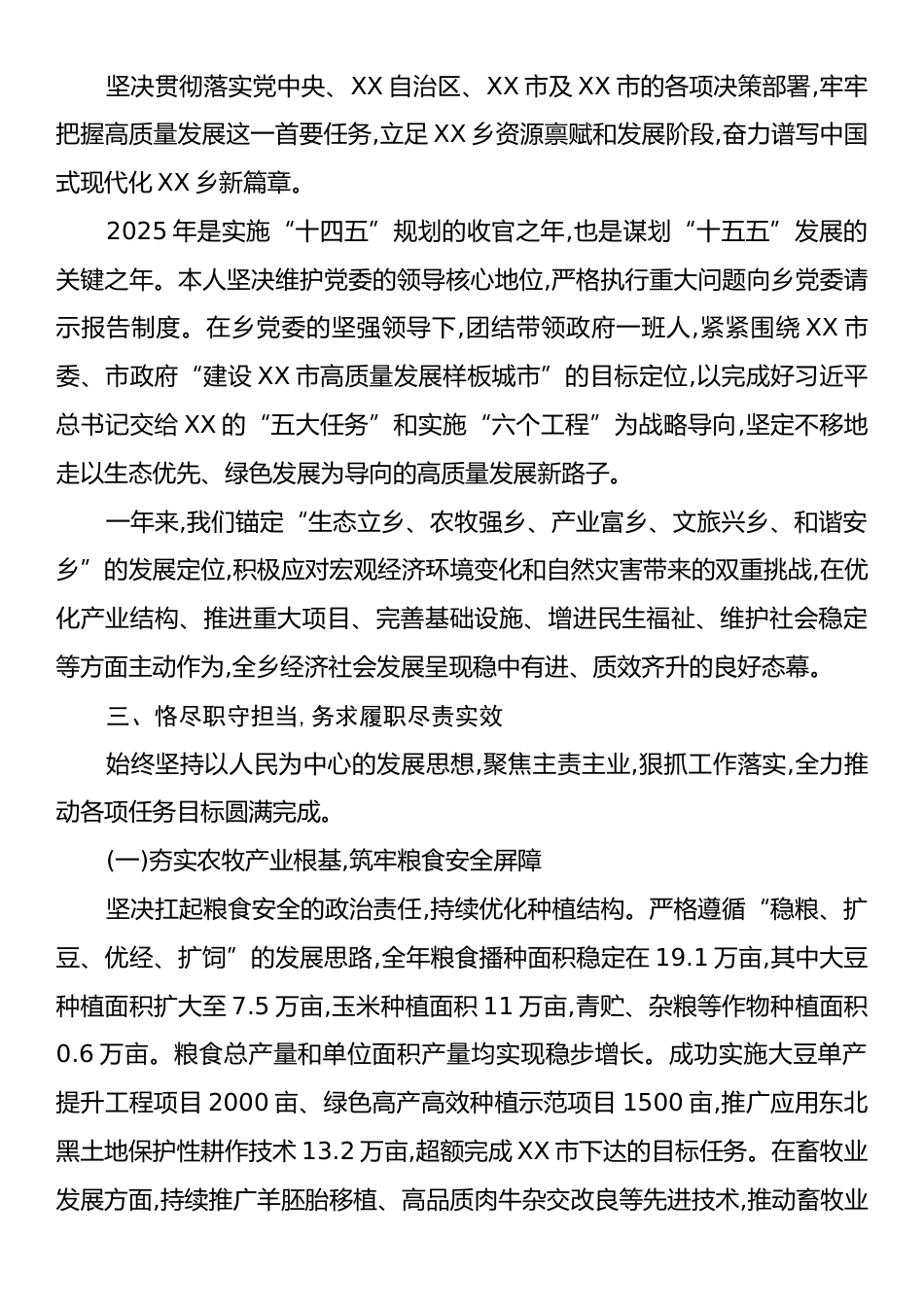 乡长2025年度个人述职述廉报告.docx_第2页