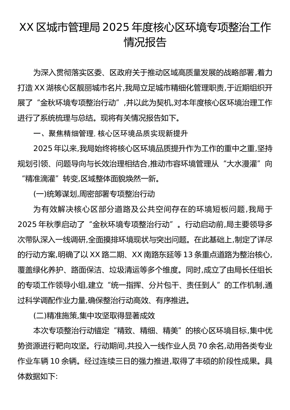 XX区城市管理局2025年度核心区环境专项整治工作情况报告.docx_第1页