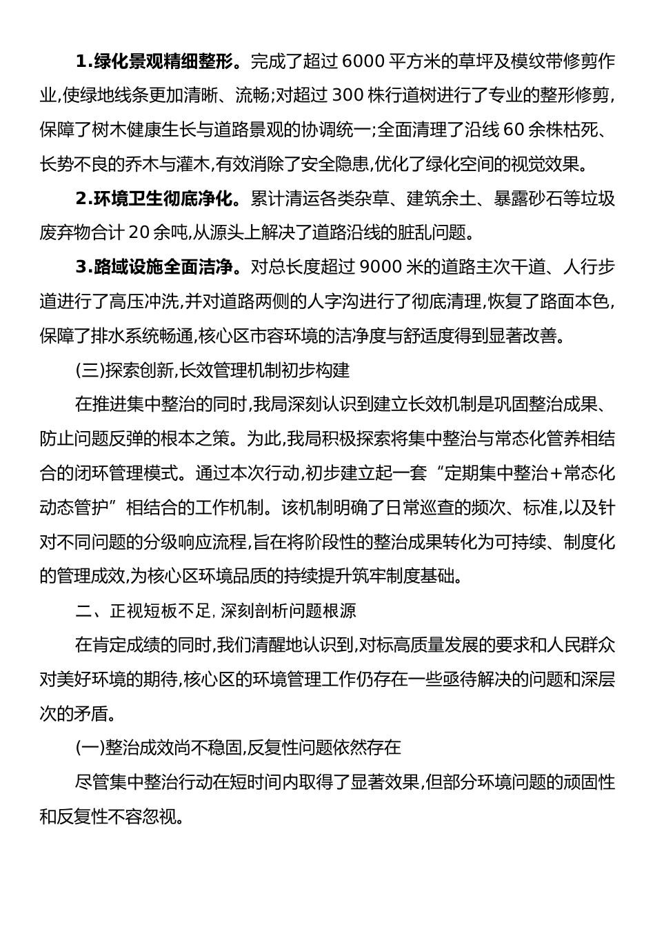 XX区城市管理局2025年度核心区环境专项整治工作情况报告.docx_第2页