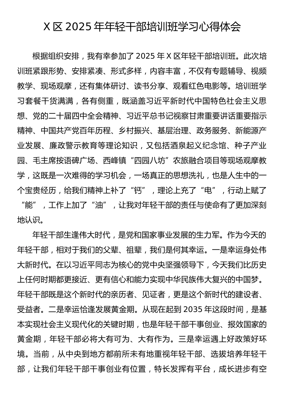X区2025年年轻干部培训班学习心得体会.docx_第1页