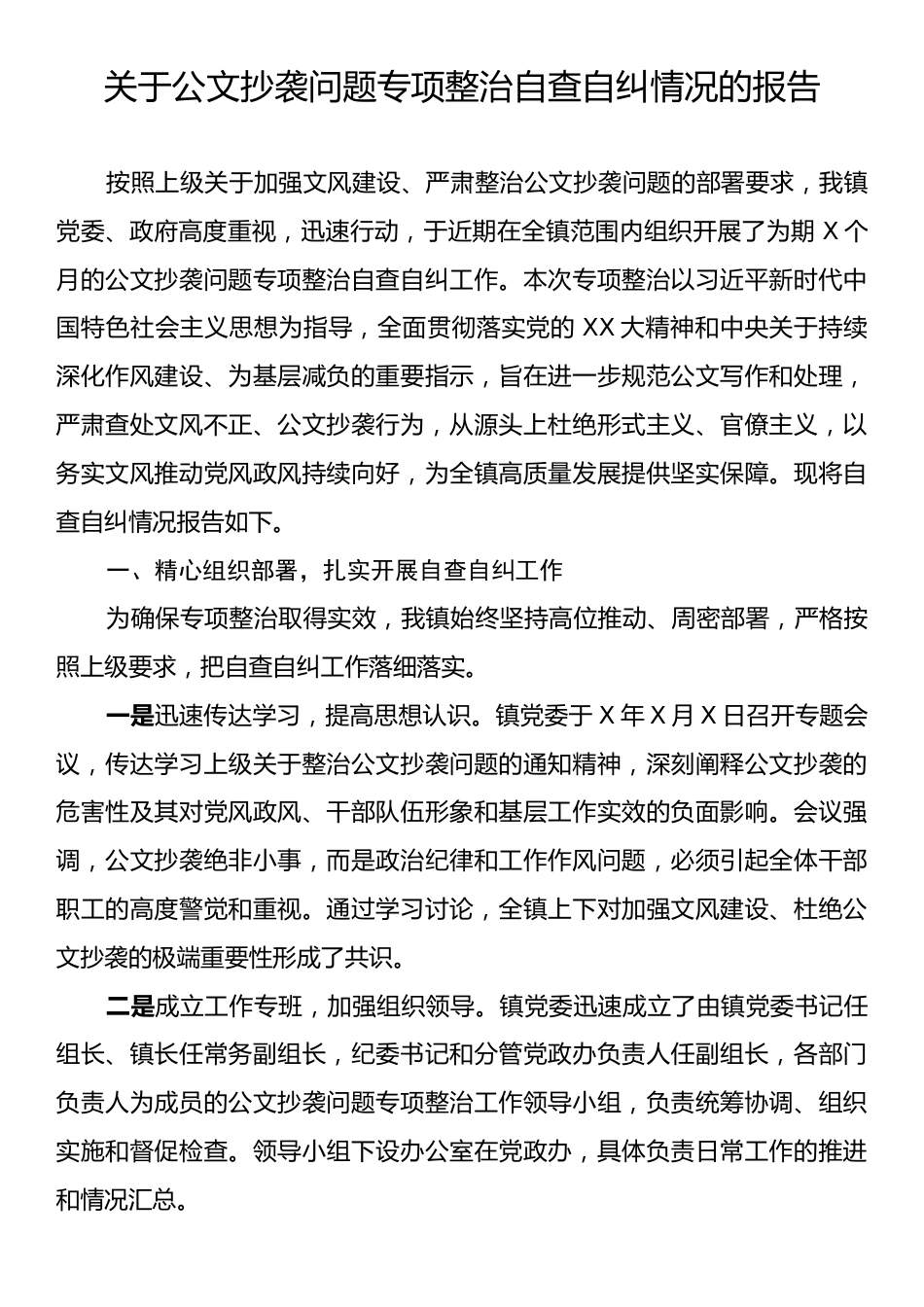 关于公文抄袭问题专项整治自查自纠情况的报告.docx_第1页