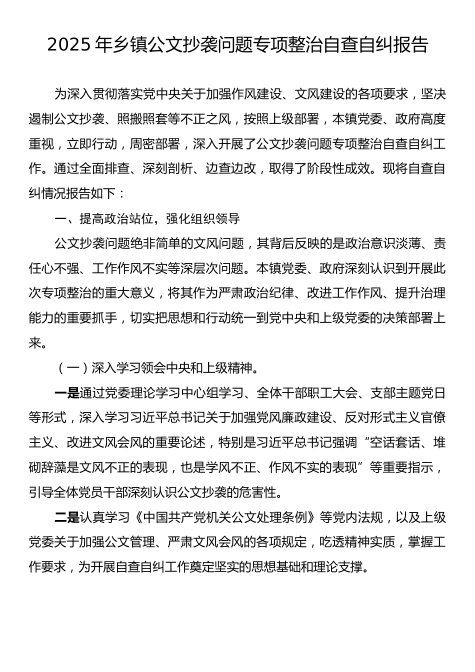 2025年乡镇公文抄袭问题专项整治自查自纠报告.docx_第1页