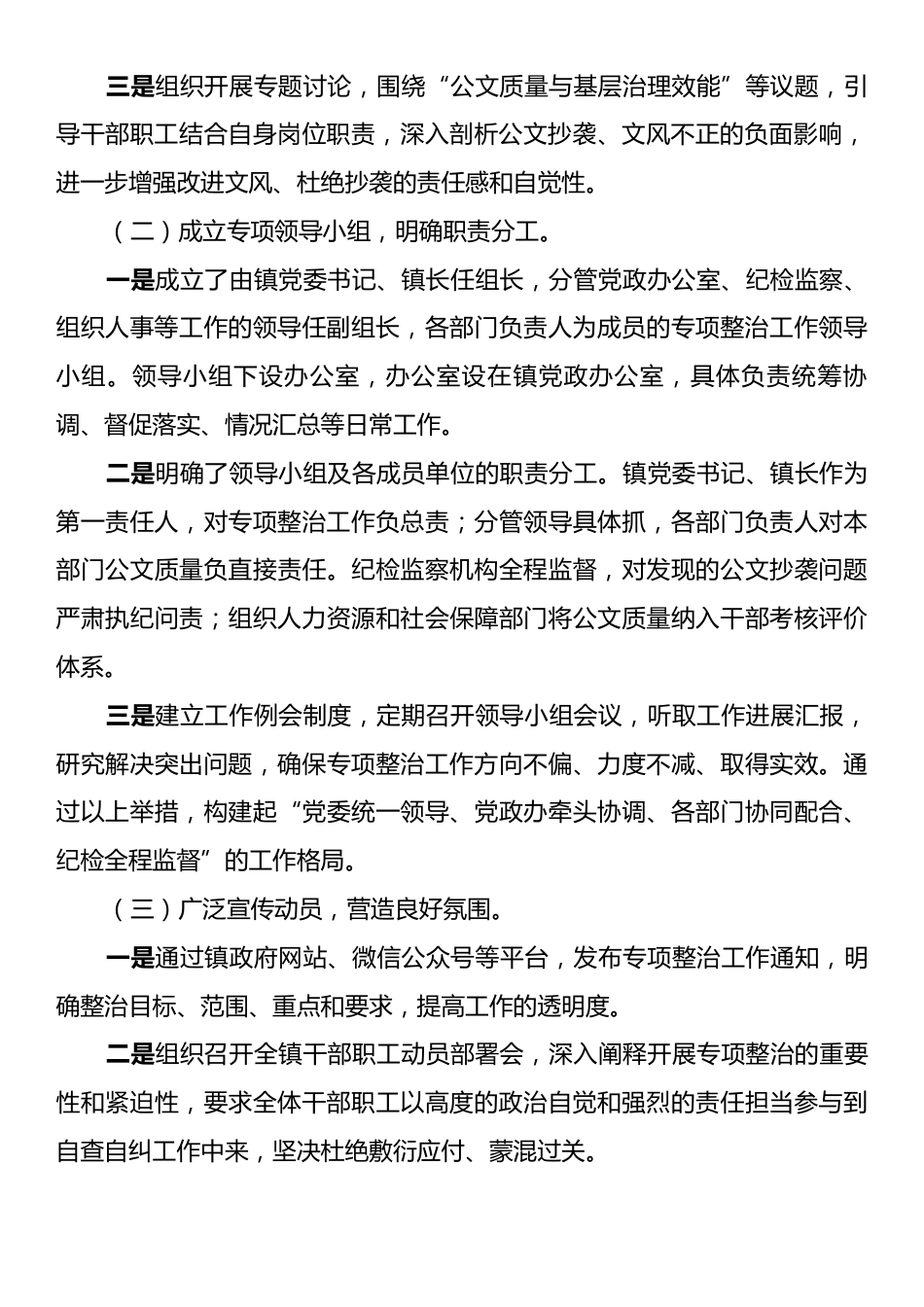 2025年乡镇公文抄袭问题专项整治自查自纠报告.docx_第2页