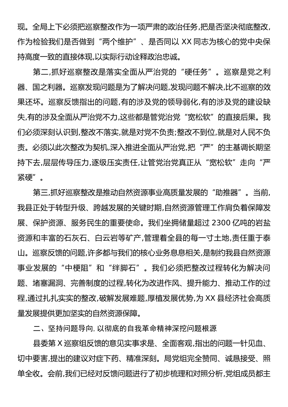 在XX县自然资源局党组关于巡察“回头看”反馈意见整改工作专题会议上的讲话.docx_第2页