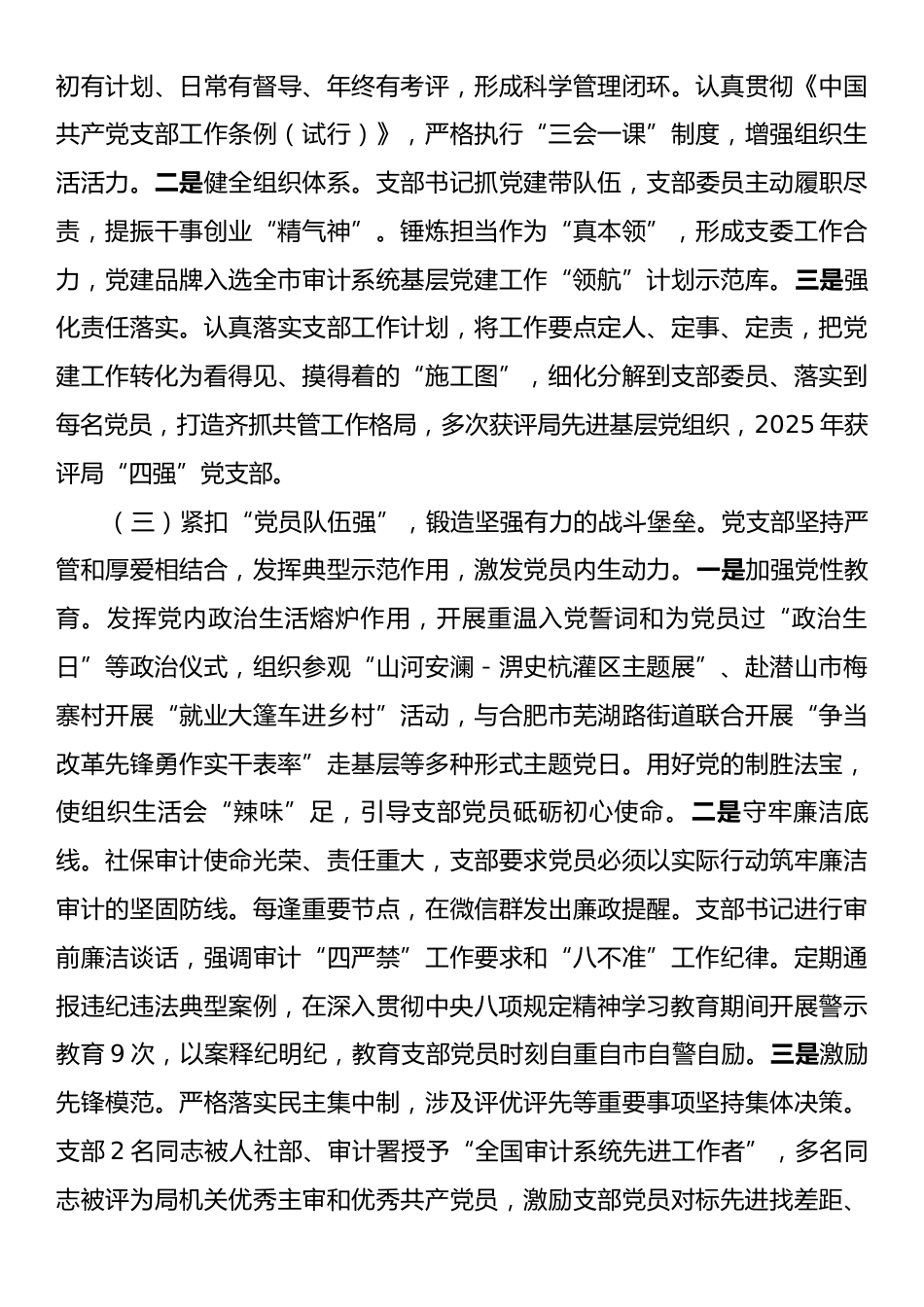 市审计局党支部抓基层党建工作总结.docx_第2页