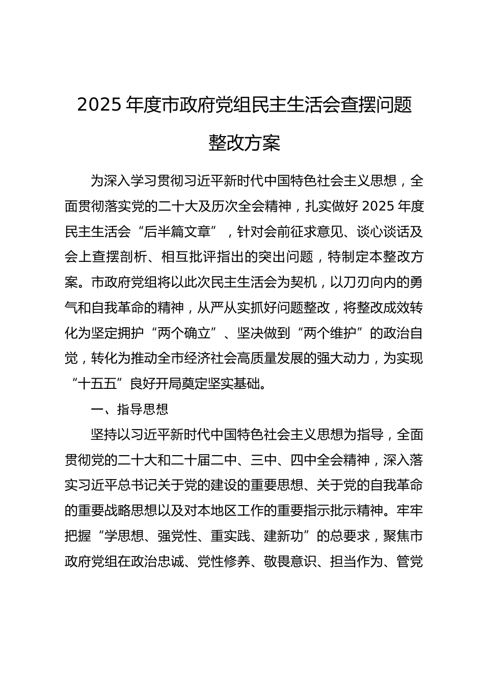 2025年度市政府党组民主生活会查摆问题整改方案.docx_第1页