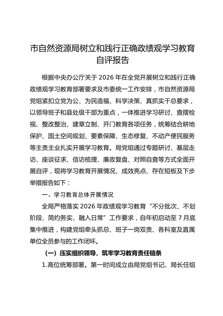 市自然资源局2026年树立和践行正确政绩观学习教育自评报告.docx_第1页